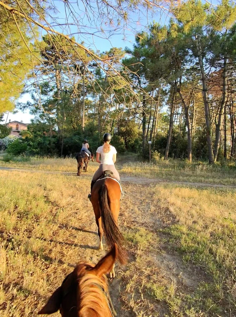 Passeggiata a Cavallo